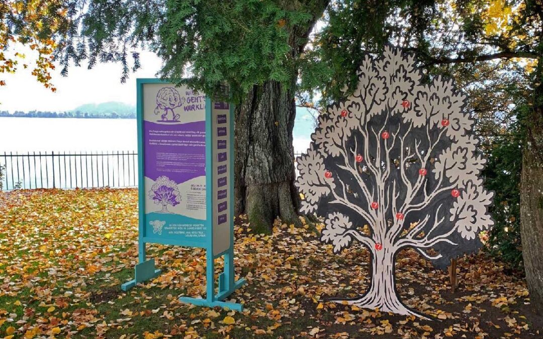 Emotionen- und Wertebaum